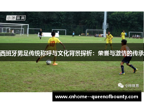 西班牙男足传统称呼与文化背景探析：荣誉与激情的传承