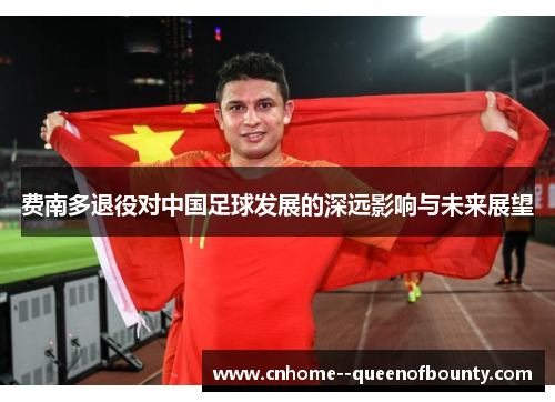 费南多退役对中国足球发展的深远影响与未来展望