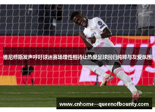 维尼修斯发声呼吁球迷赛场理性相待让热爱足球回归纯粹与友爱氛围