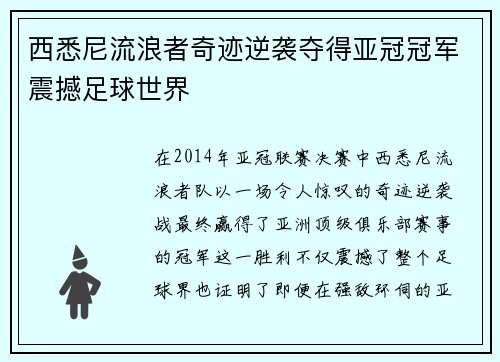 西悉尼流浪者奇迹逆袭夺得亚冠冠军震撼足球世界 西悉尼流浪者奇迹逆袭夺得亚冠冠军震撼足球世界